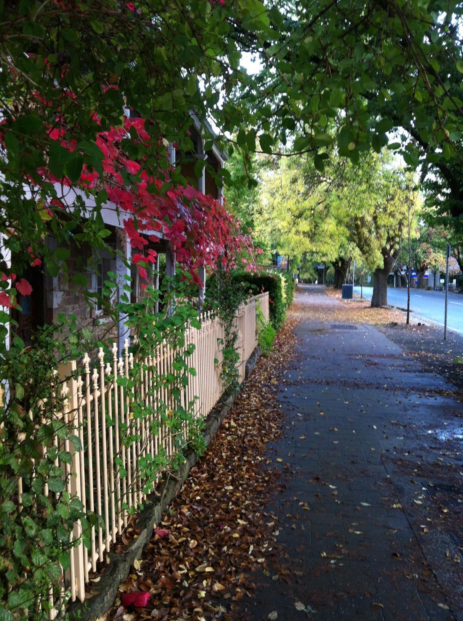 Amble At Hahndorf Exterior foto
